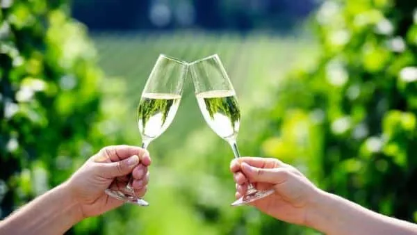 Hunter Valley Tours from Sydney: Best Day Trips for Locals