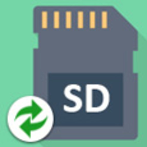 Memory Card Data Restore