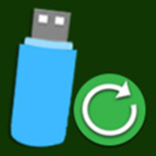 Flash Drive Data Restore