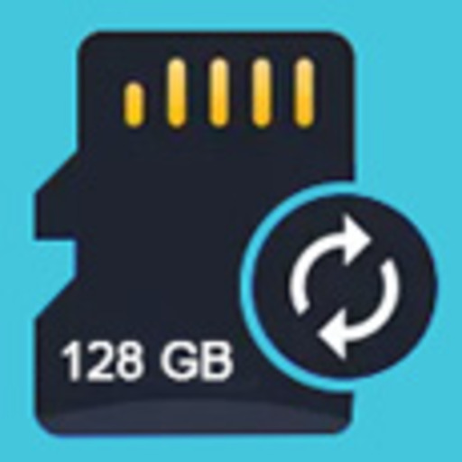 Memory Card Restore Software